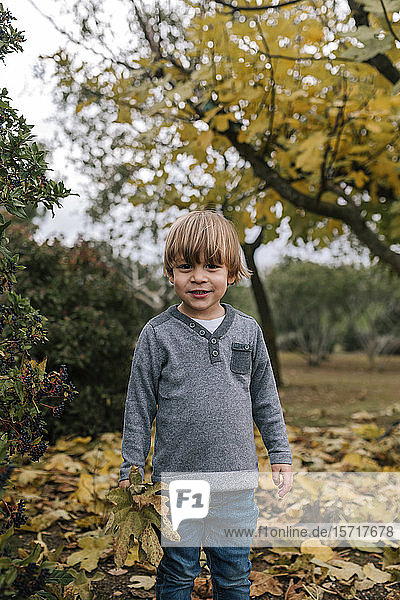 Porträt eines kleinen Jungen  der im Herbst Blätter sammelt