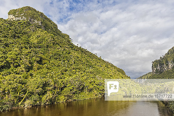 Neuseeland  Distrikt Buller  Punakaiki  Fluss Porarari fließt an einem grün bewaldeten Hügel vorbei