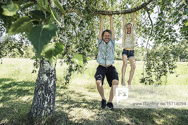 Porträt eines lächelnden Vaters und einer lächelnden Tochter am Ast einer Birke hängend