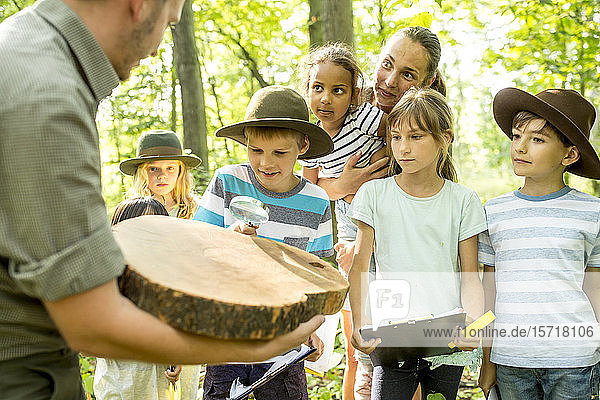 Schulkinder untersuchen Jahresringe eines Baumstammes