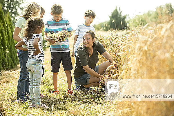 Kinder untersuchen Weizenfeld mit ihrem Lehrer