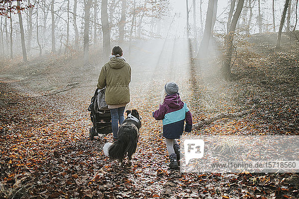 Mutter mit Kindern und Border Collie beim Waldspaziergang im Herbst