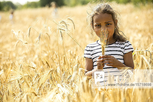 Kleines Mädchen steht im Weizenfeld und schaut auf die Weizenähre
