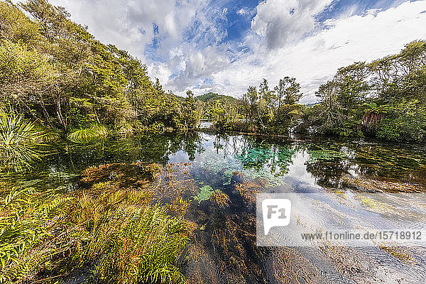 Neuseeland  Tasmanische Region  Takaka  Landschaftliche Ansicht der Quellen von Te Waikoropupu