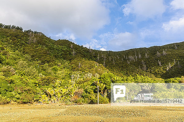 Neuseeland  Region Marlborough  Wohnmobil am Fuße des bewaldeten Hügels von Nikau Cove geparkt