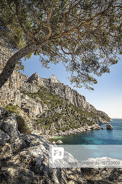 Frankreich  Côte d'Azur  Calanques-Nationalpark  Kreidefelsen und Buchten