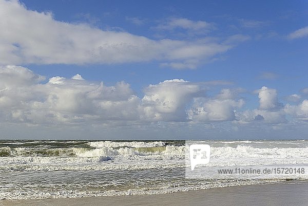 Auslaufende Wellen am Sandstrand  blauer Himmel mit tiefen Kumuluswolken (Cumulus) über der Nordsee  Sylt  Nordfriesische Insel  Nordfriesland  Schleswig-Holstein  Deutschland  Europa