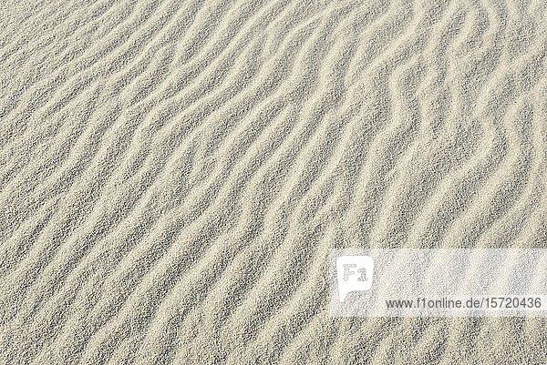 Sandverwehungen  Wellenstrukturen im weißen Sand  Hintergrundbild  Sylt  Nordfriesische Insel  Nordsee  Nordfriesland  Schleswig-Holstein  Deutschland  Europa