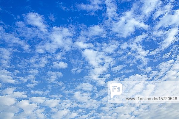 Blauer bewölkter Himmel  Mauritius  Afrika