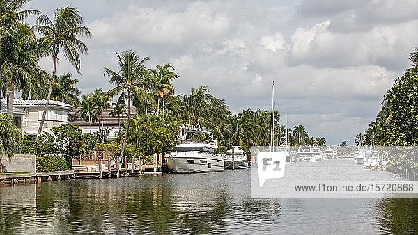 Kanal mit Luxusyachten vor Wohnhäusern  East Fort Lauderdale  Florida  USA  Nordamerika