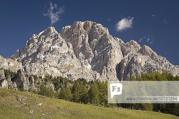 Blick auf die Cristallo-Gruppe  Dolomiten  Italien  Europa