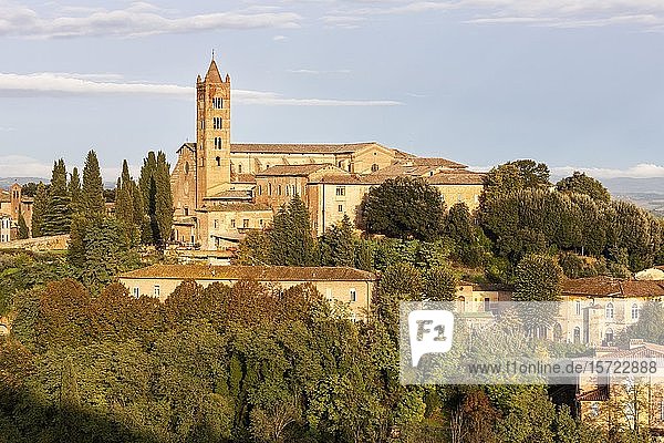 Basilika di San Clemente in Santa Maria dei Servi  Siena  Toskana  Italien  Europa