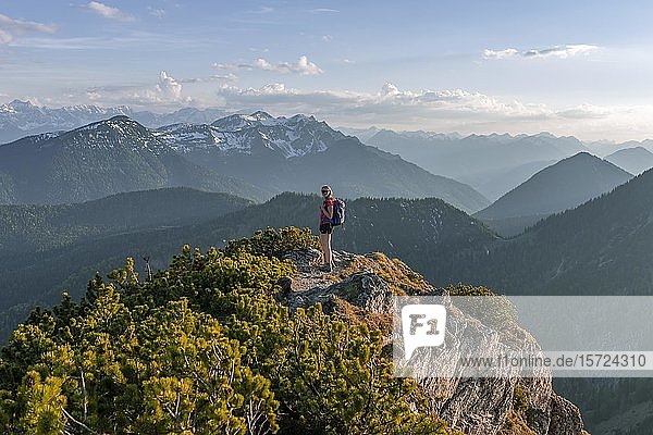 Wanderer blickt über Berglandschaft  Wanderweg der Herzogstand Heimgartenüberquerung  Oberbayern  Bayern  Deutschland  Europa