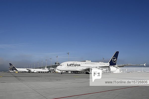 Lufthansa Airbus  A380-800 beim Rollen vor dem Satelliten  Terminal 2  Neue Lackierung  Flughafen München  Oberbayern  Bayern  Deutschland  Europa
