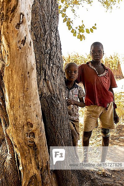 Zwei einheimische Jungen stehen neben einem Baumstamm  Lake Kariba  Simbabwe  Afrika