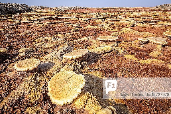 Dallol Hydrothermale Heisse Quellen In Der Danakil Senke Afar Dreieck Athiopien Afrika