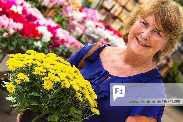 Woman purchasing chrysanthemum plants purchased in English Garden centre.