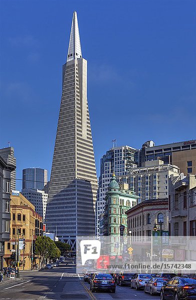 Financial district and Transamerica Pyramid in San Francisco  California  USA.