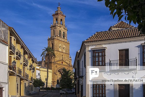 Spain  Andalusia  Seville  Santa Maria Church  at Utrera.