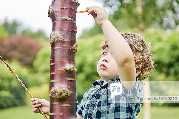 Toddler discovering unusual tree in park