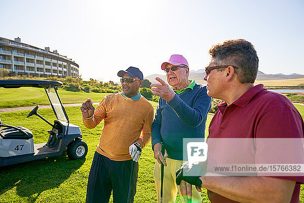 Männliche Golffreunde unterhalten sich auf einem sonnigen Golfplatz