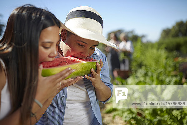Junge Frauen essen frische Wassermelone vom Bauernhof