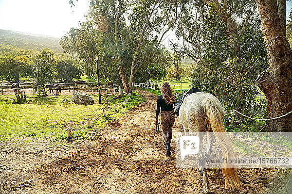 Frau führt Pferd auf sonnige ländliche Koppel
