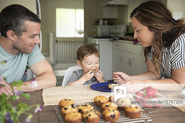 Junge Familie isst frische Muffins in der Küche