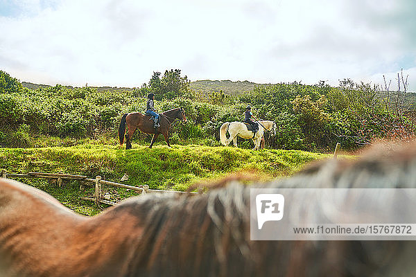 Girls horseback riding on sunny grass ridge