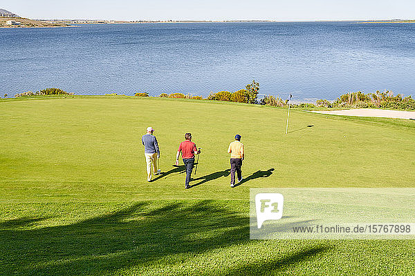 Männliche Golfer gehen auf dem sonnigen Putting Green am See auf den Pin zu