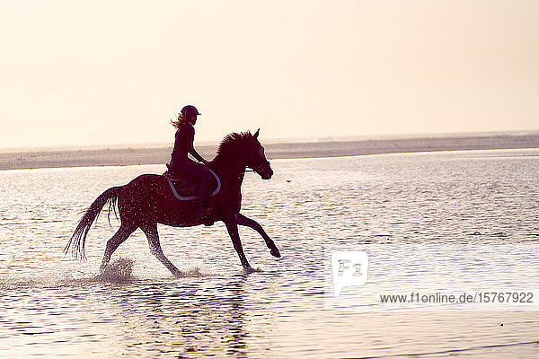 Young woman galloping on horseback in ocean surf