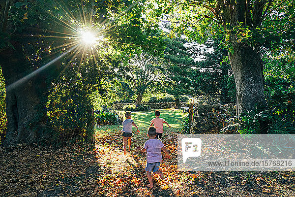 Unbeschwerte Jungen laufen im sonnigen  idyllischen Herbstpark