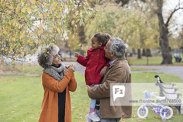 Grandparents with granddaughter in autumn park
