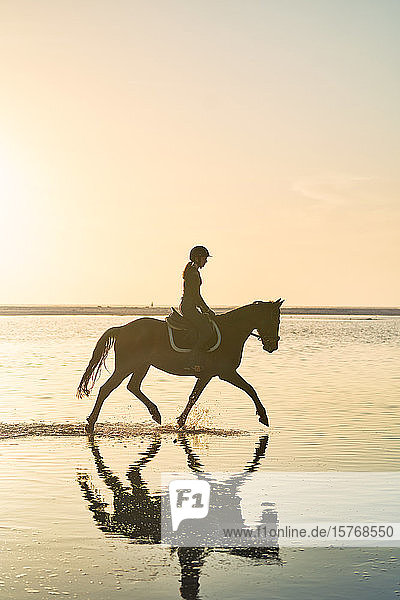Young woman horseback riding in tranquil sunset surf