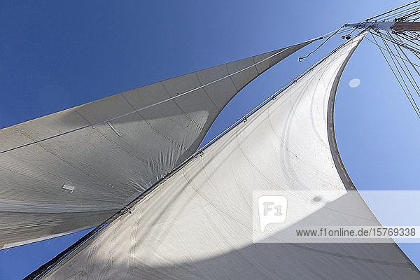 Segelboot Segel weht in Brise unter sonnigen blauen Himmel