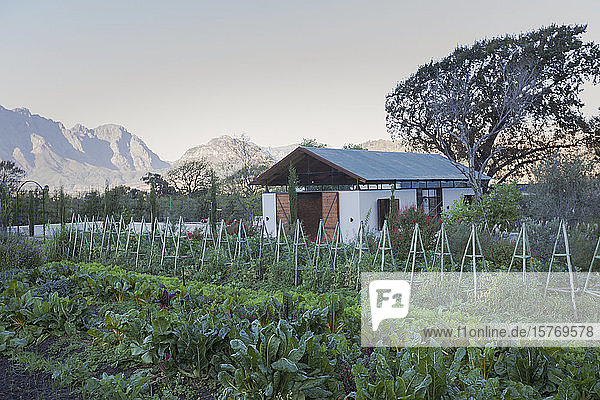 Idyllischer  ruhiger Gemüsegarten und Landhaus mit Bergen im Hintergrund