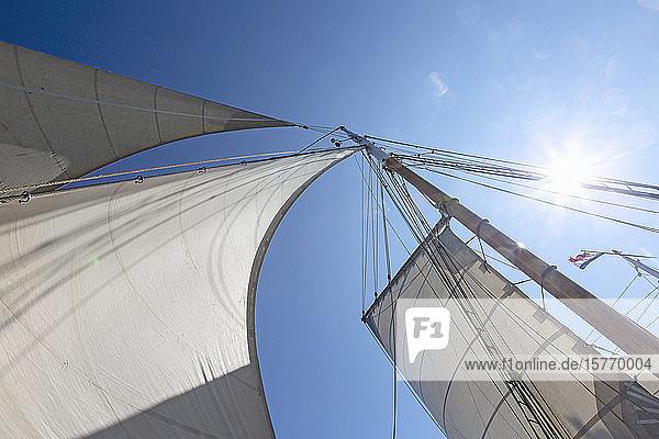 Segelboot Segel weht im Wind unter sonnigen blauen Himmel