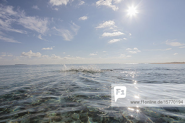 Schwimmer beim Planschen im sonnigen  idyllischen Meer  Malediven