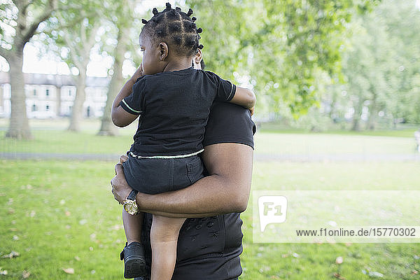 Vater hält sein Kleinkind im Park