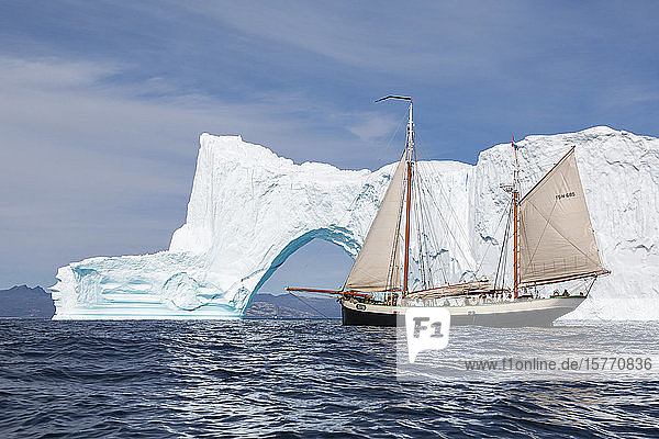 Schiff bewegt sich auf Eisbergbogen auf sonnigem Atlantik Grönland