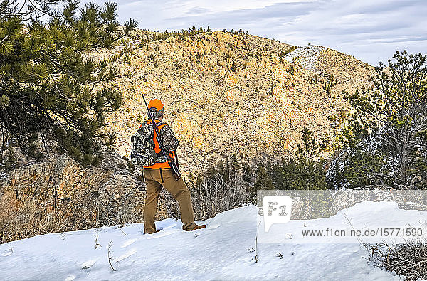 Hunter with orange vest  backpack and rifle standing on a hillside and looking out; Denver  Colorado  United States of America