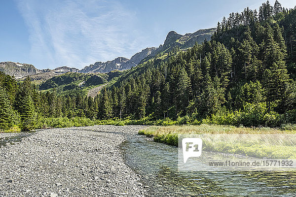 Fluss  der in den Prince William Sound fließt; Alaska  Vereinigte Staaten von Amerika