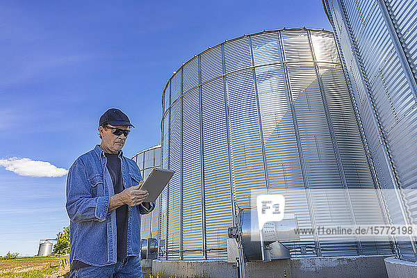 A farmer stands beside grain storage bins looking at a tablet; Alberta  Canada