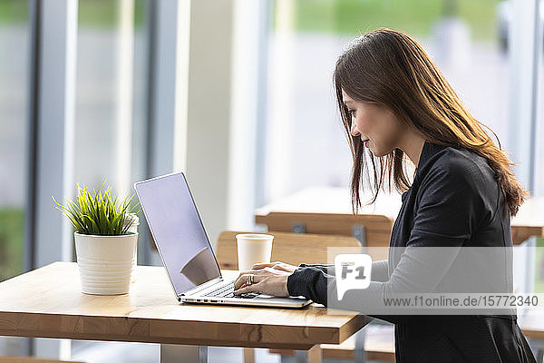 Eine berufstätige asiatische Frau  die in einem Café an einem Computer arbeitet: Edmonton  Alberta  Kanada