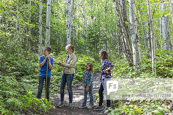Four siblings  three girls and a boy  standing on a trail in a forest; British Columbia  Canada