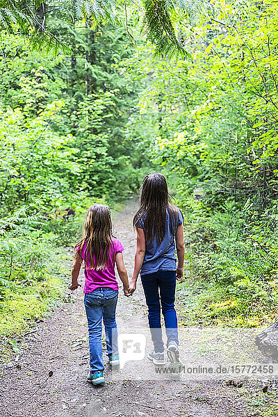 Zwei Schwestern halten sich an den Händen und gehen auf einem Waldweg; British Columbia  Kanada