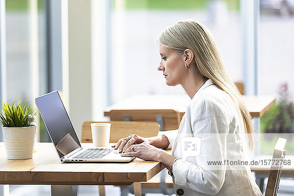 Eine berufstätige Geschäftsfrau  die in einem Café an einem Computer arbeitet: Edmonton  Alberta  Kanada