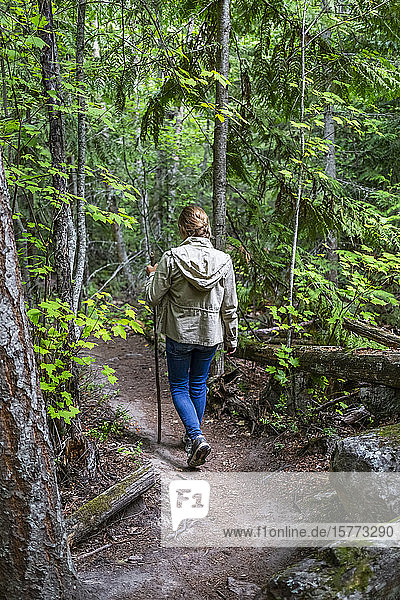 Pre-teen girl walking on a trail in a lush forest; Salmon Arm  British Columbia  Canada