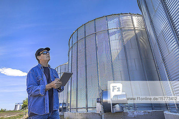 A farmer stands using a tablet while standing beside and looking up at grain storage bins; Alberta  Canada