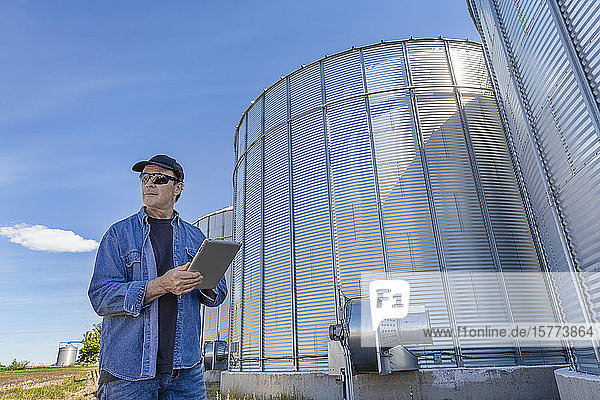 A farmer stands beside grain storage bins using a tablet; Alberta  Canada